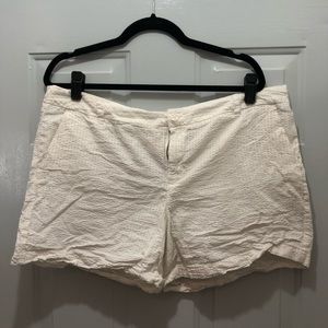 Merona Women’s Shorts White Seersucker 16
